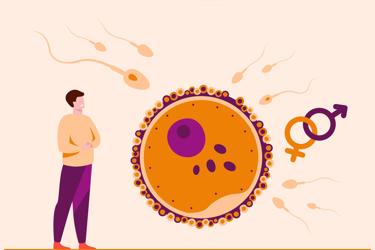 Male Infertility Treatment